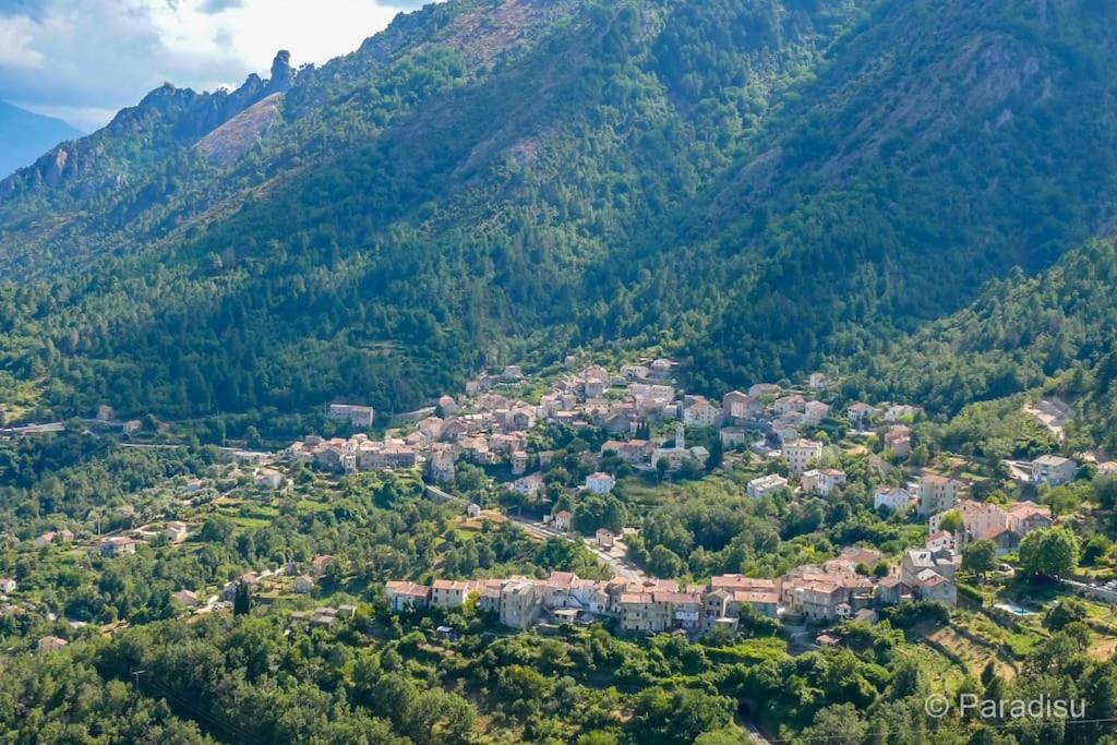Apartament Studio Venaco Centre Corse Zewnętrze zdjęcie